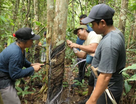 Yayasan Tambuhak Sinta