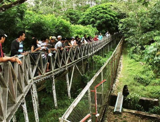 East Kalimantan Environmental Education or Kawasan Wisata Pendidikan Lingkungan Hidup