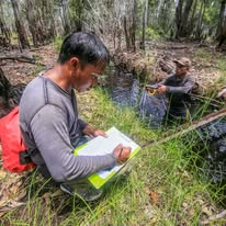 Borneo Nature Foundation Indonesia