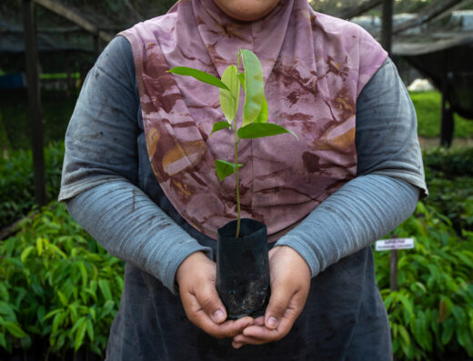 World Wide Fund for Nature (WWF) Malaysia