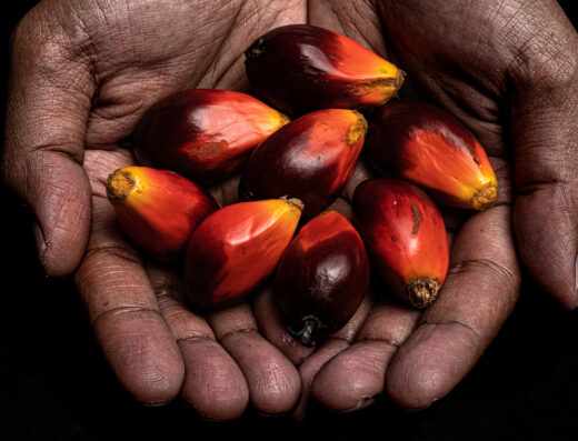 World Wide Fund for Nature (WWF) Malaysia